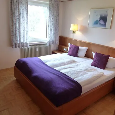 Zum Hauschen-domblick-messe-hotel 호텔 3*